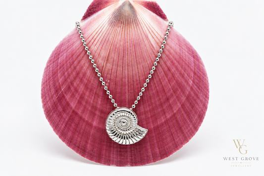 Ammonite Pendant on Silver Ball Chain
